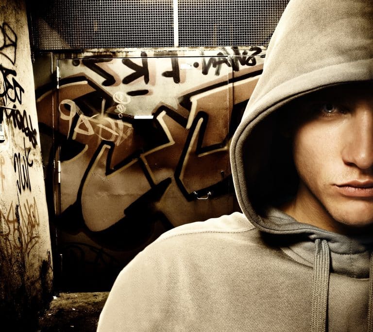 Effects of Bullying in the Society