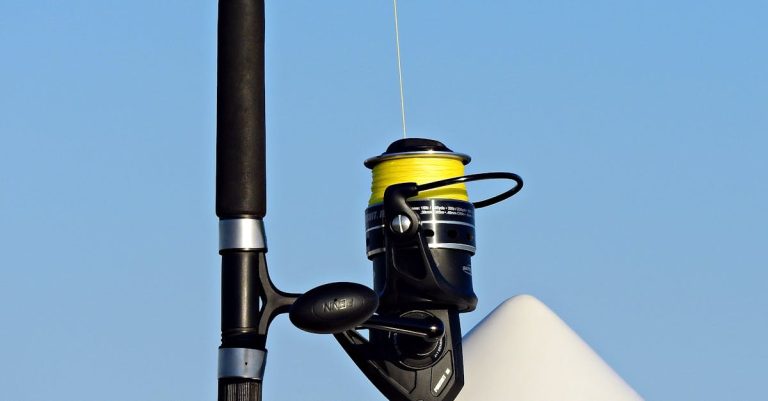 Can’t Miss It! Free Fishing Weekend is Back in Washington on June 8-9 - Find Out Everything You Need to Know!