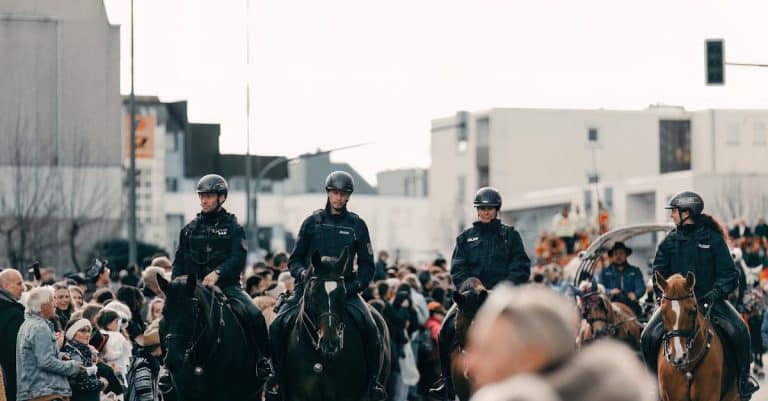 Is it open season for car chases in Washington? Find out why police can now pursue more vehicles!