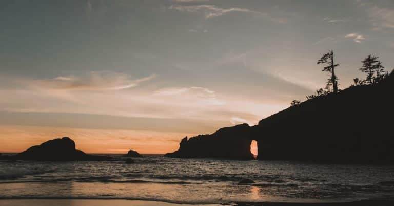 Will These New Washington Laws Change Your Life Forever? Find Out What’s Going Into Effect on June 6!